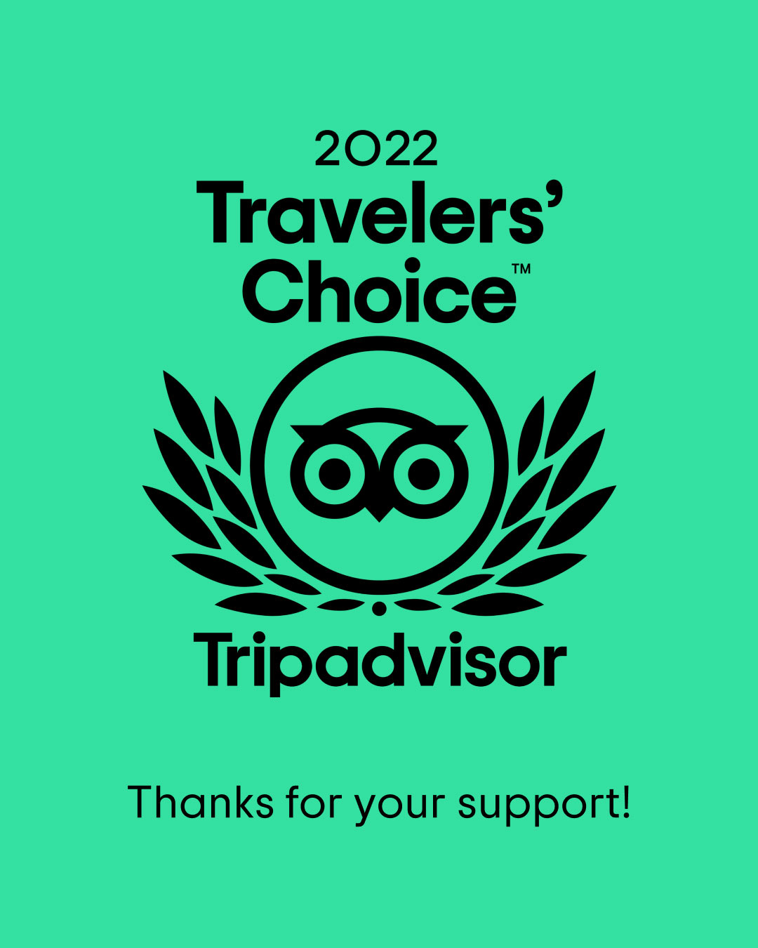 tripadvisor-travellers-choice-winner-2022